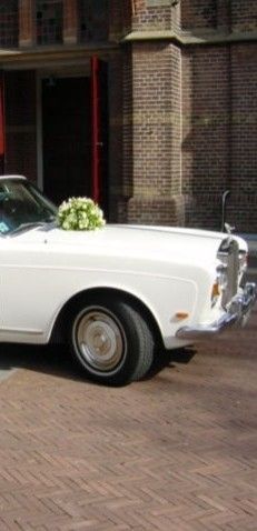 Trouwvervoer Rolls Rent de Trouwauto Specialist Trouwvervoer Rolls Rent de Trouwauto Specialist