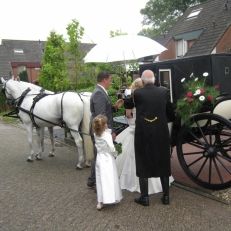 trouwvervoer Stalhouderij Biessum stijlvolle trouwkoetsen voor de mooiste dag van uw leven