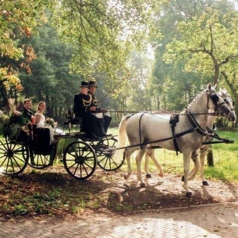 Trouwvervoer Stalhouderij Biessum