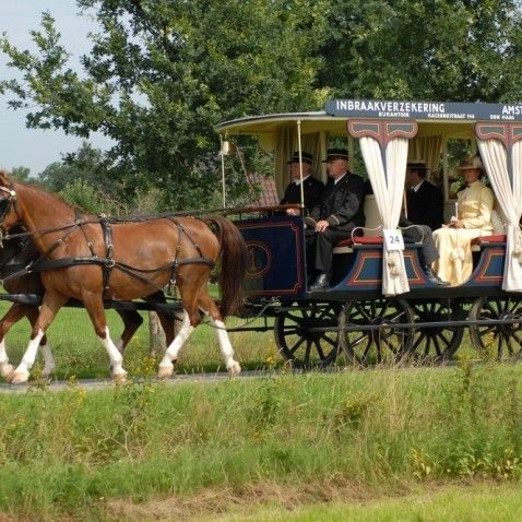 Trouwvervoer Stalhouderij Biessum