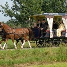 trouwvervoer Stalhouderij Biessum stijlvolle trouwkoetsen voor de mooiste dag van uw leven