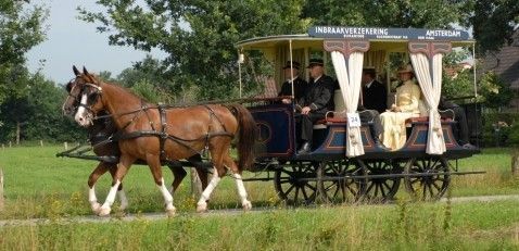 Trouwvervoer Stalhouderij Biessum