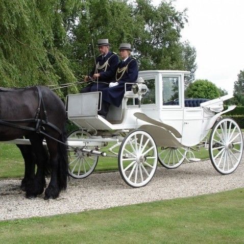 Trouwauto Stalhouderij Hazeleger