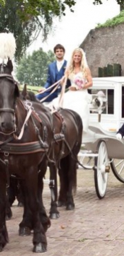 Catering-Partyverhuur Stalhouderij Hazeleger Catering-Partyverhuur Stalhouderij Hazeleger