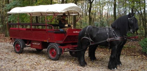 Catering-Partyverhuur Stalhouderij Hazeleger