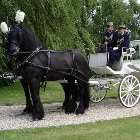 Catering-Partyverhuur Stalhouderij Hazeleger