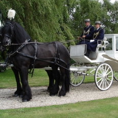 Catering-Partyverhuur Stalhouderij Hazeleger