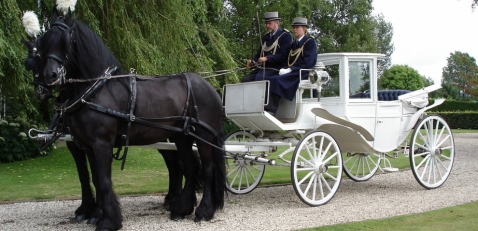 Catering-Partyverhuur Stalhouderij Hazeleger