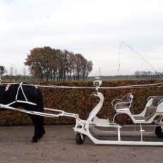 Trouwauto Stalhouderij Hazeleger Trouwauto Stalhouderij Hazeleger