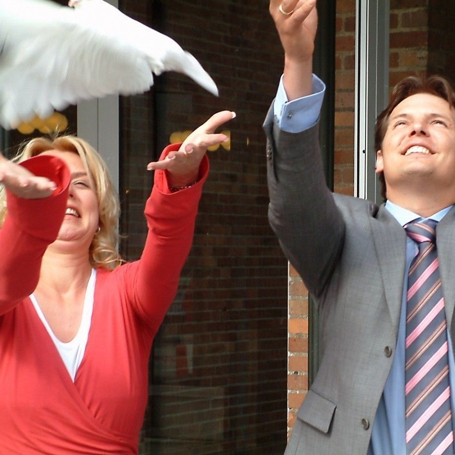 Bruidsduiven Witte Duiven Verhuur Olthof Bruidsduiven Witte Duiven Verhuur Olthof