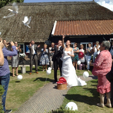 Sfeermakers Witte Duiven Verhuur Olthof