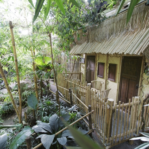 Huwelijksnacht Center Parcs Het Heijderbos