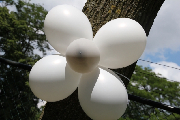 Balloons toonaangevende naam in de wereld van ballonnen