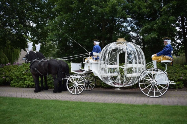 Stalhouderij Hazeleger stijlvol trouwvervoer voor elke gelegenheid, door heel Nederland