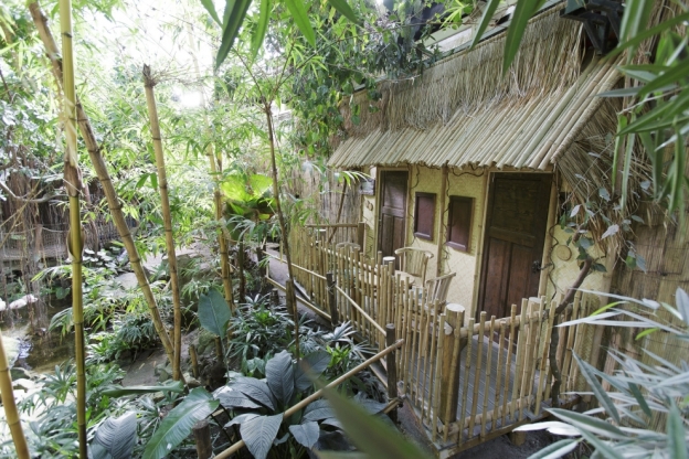 Center Parcs Het Heijderbos Alles voor uw droom bruiloft op één locatie! 